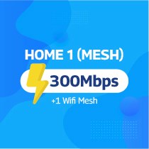 Home 1 (01 Mesh)